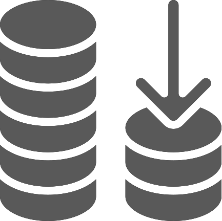 Candidate Icon